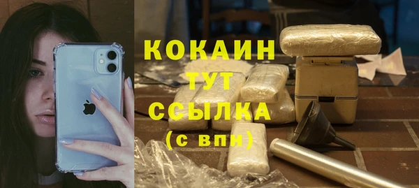 ешки Аркадак