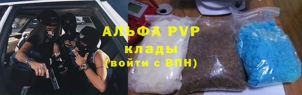 ешки Аркадак