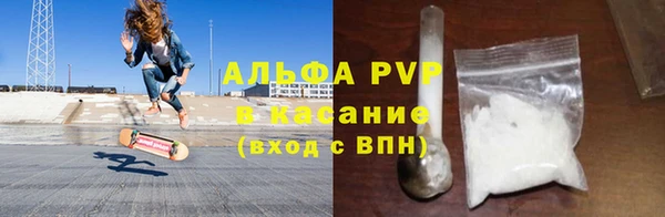 ешки Аркадак