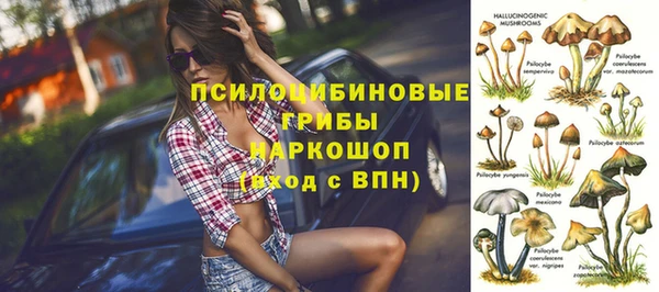 ешки Аркадак