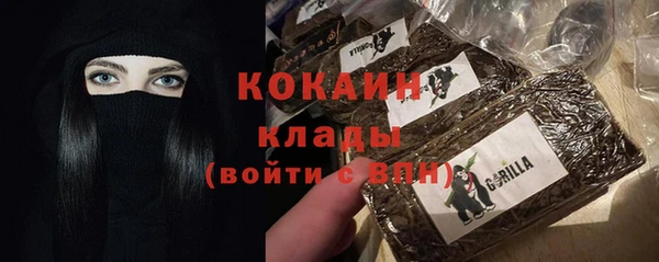 ешки Аркадак