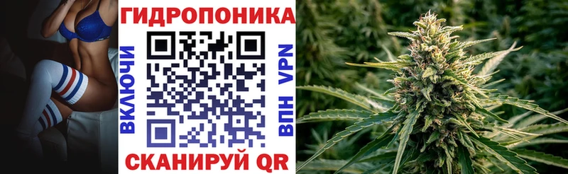 купить наркоту  Салаир  Бошки Шишки тримм 